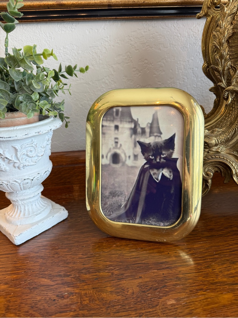 Vintage Solid Brass 5” X 7” Photo Frame with Gothic Black Cat - Picture 8 of 9